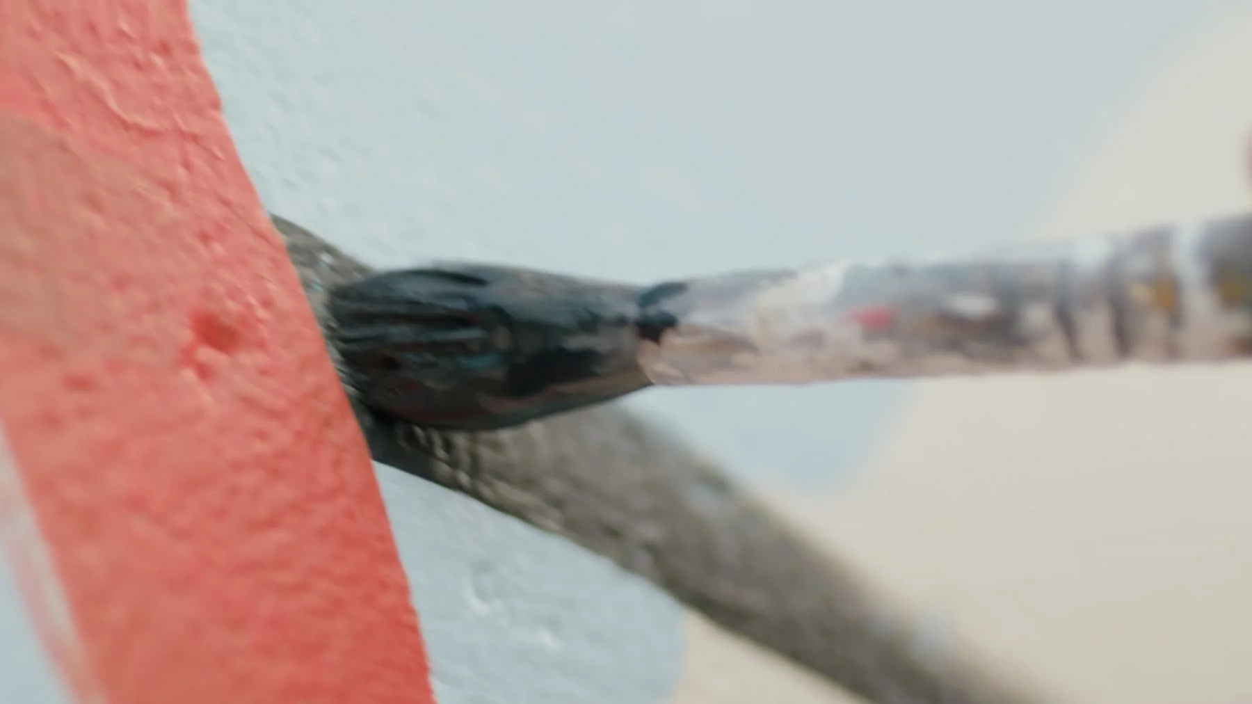 A paintbrush lays a coral line across the textured surface of a mural.